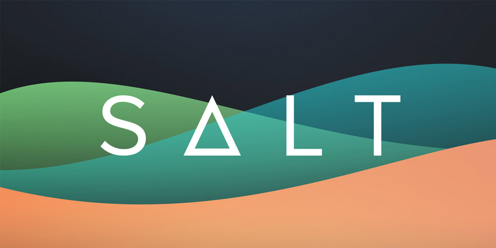 salt blockchain