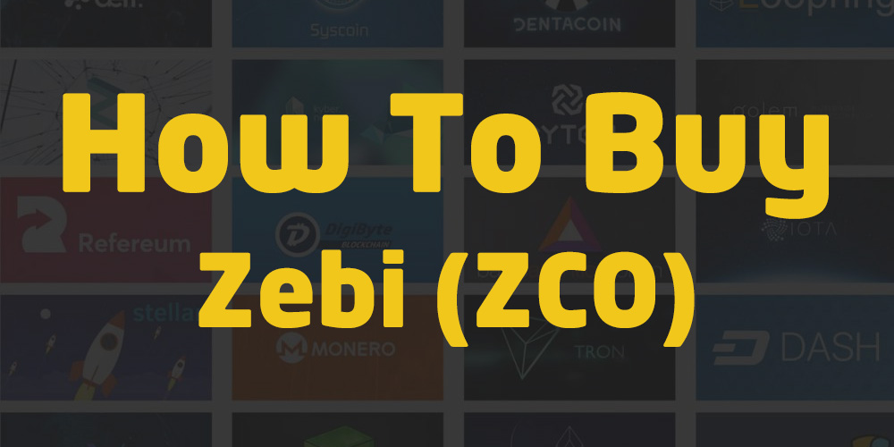 indian crypto coin starts with zebi